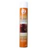 POLISH NETTOYANT SILICONE U2 EN AÉROSOL