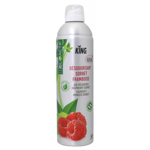 DÉSODORISANT SORBET FRAMBOISE 12X400mL