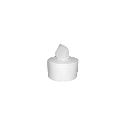 PAPIER HYGIÉNIQUE À DÉVIDAGE CENTRAL 210 M BLANC LOT DE 12