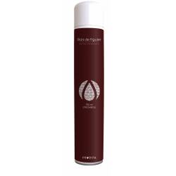 AEROSOL SURODORANT D'ATMOSPHERE STROMBOLI 12x750mL