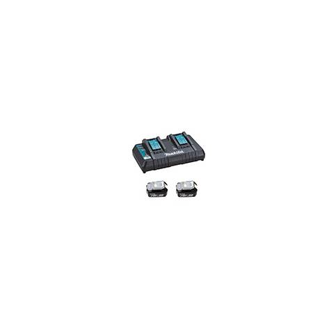 PACK 2 BATTERIES AVEC CHARGEUR POUR ASPIRATEUR DORSAL LXT