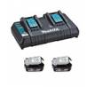 PACK 2 BATTERIES AVEC CHARGEUR POUR ASPIRATEUR DORSAL LXT